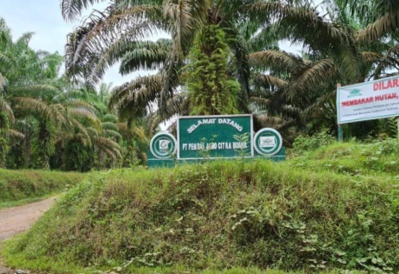 PT Pemdas Agro Citra Buana 